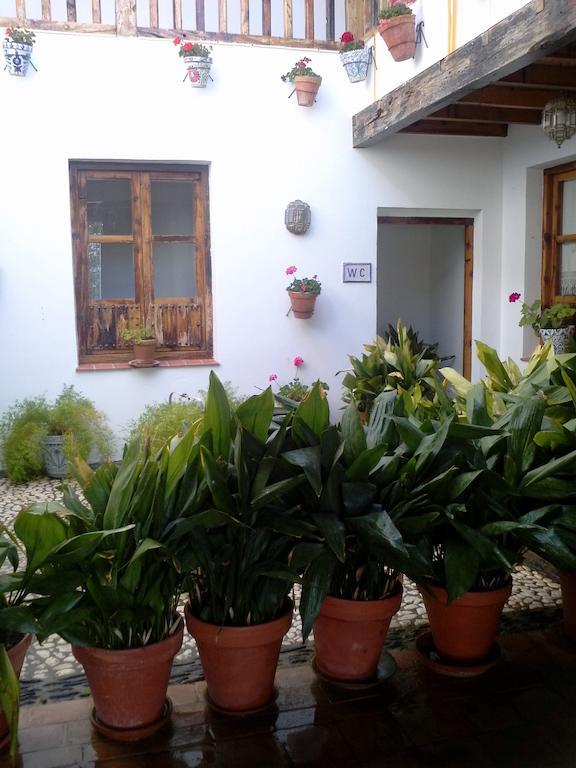 Cuevas Pedro Antonio De Alarcon Daire Guadix Dış mekan fotoğraf
